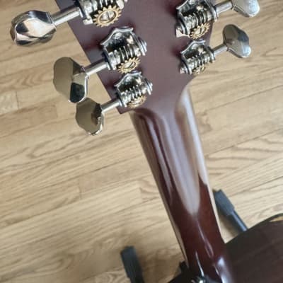 Santa Cruz Model D-PW Custom Cocobolo image 20