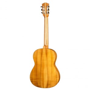 Hofner Steel String Classical Guitar (HA-CS7) image 2