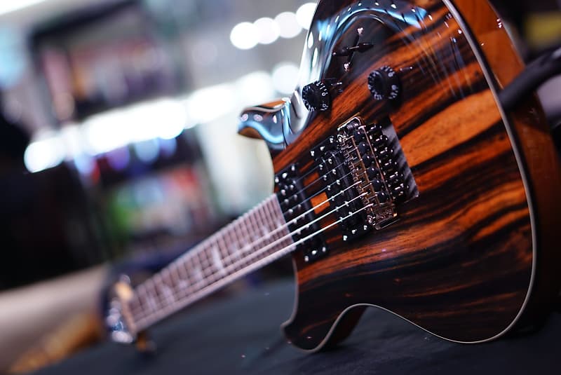 PRS SE Exotic Custom 24 floyd ebony