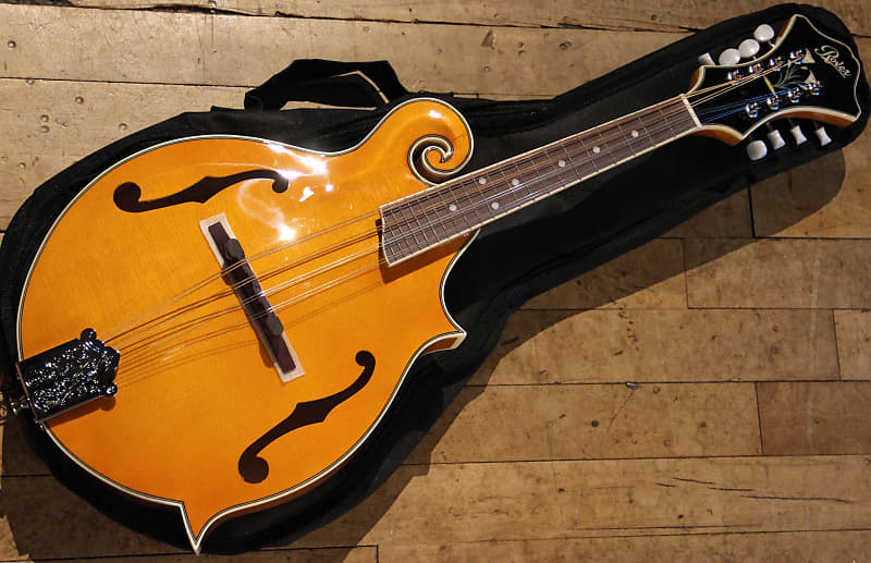 Rover RM-75 Deluxe Student F-Model Mandolin Flamed Maple image 1