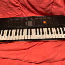 Casio SA-76 44-Key Mini Portable Keyboard 