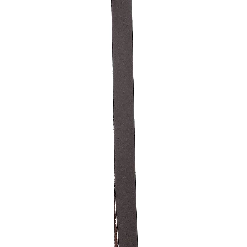 D'Addario Accessories Banjo Strap with Clips - Strap for Banjo - Banjo  Accessories - Nylon - Black,Standard,50BNJ000