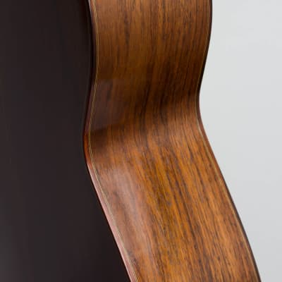 Nicholas P. Ioannou  Classical Guitar (1992), black hard shell case. image 15