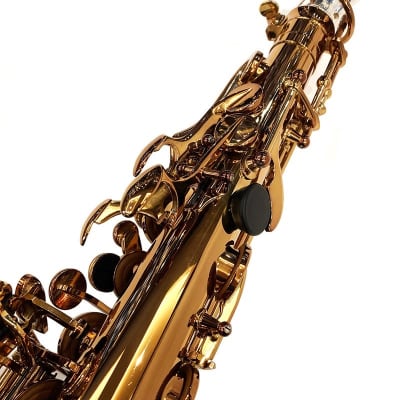 FORESTONE Alto Saxophone Forestone GX COLORS image 7