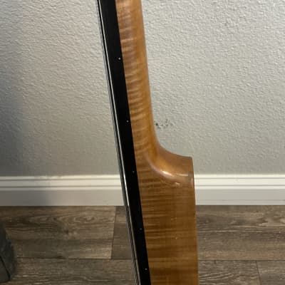 Electric Upright Bass image 7