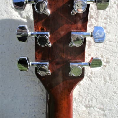 Washburn Artwood  Aw-10  Guitar, 2000 , Natural Finish,  Plays & Sounds Good image 10
