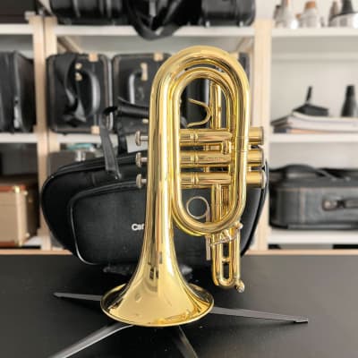 Carol Brass CPT-4000-YLS-C-S C Pocket Trumpet with Satin Finish - Trumpets  for students to pro players - Cornets and Flugelhorns - Sax & Woodwind  and Brass