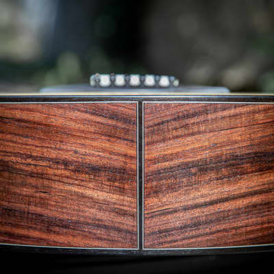 Salz Guitars PS 2023 - Swiss moon spruce & Indian rosewood image 8
