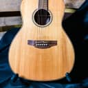 Takamine New Yorker Acoustic-Electric Guitar Natural