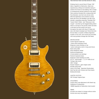 2010 Gibson Custom Shop SLASH AFD VOS Les Paul Appetite For Destruction image 20