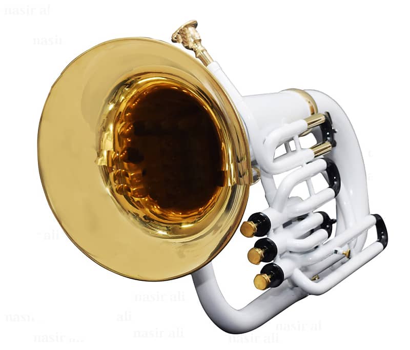 Nasir ali online euphonium