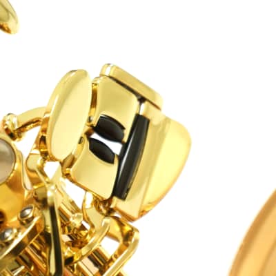 Free shipping! 【Special price】 Yanagisawa T-WO2(TWO2) Bronze Tenor Saxophone image 14