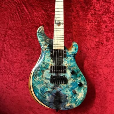 Altero Custom Guitars Mag 最終値下げ Altero Custom Guitars Mag 最終値下げ Altero Custom Guitars