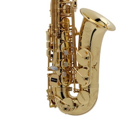Selmer Paris Series II Jubilee Alto Saxophone Outfit