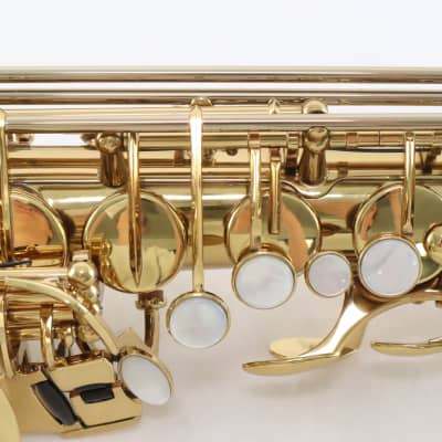 Eastman Model EAS850 Professional Alto Saxophone 'Rue Saint-Georges' GORGEOUS image 18