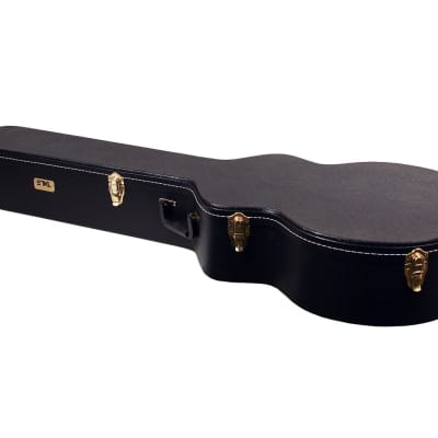 Acoustic bass best sale hard case