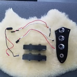 EMG J System Pre-Wired Bass Pickup System, Jazz Bass | Reverb