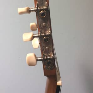 Yamaha CG 101MS Natural Solid Top with SKB hard shell case Reverb