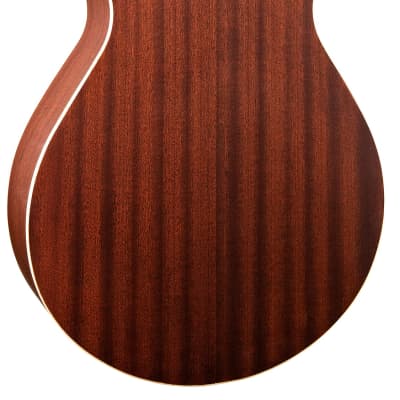 Morgan Monroe MM-PD100 Mahogany Top & Neck 6-String Parlor Acoustic Resonator Guitar - Natural image 2