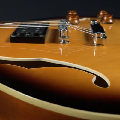 2003 Oscar Schmidt Delta King OE-30/TS Semi-Hollow Body Electric Guitar image 12