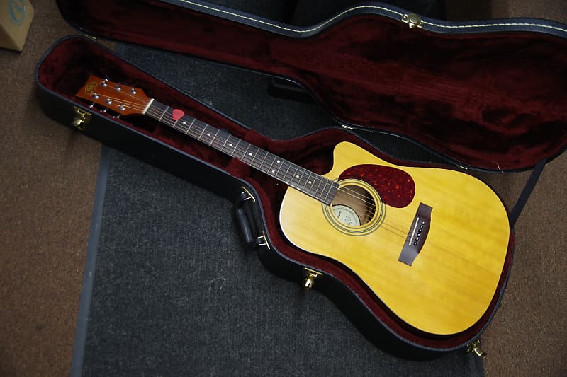 JB Player JBEA20 acoustic electric Guitar with Hard Case Reverb