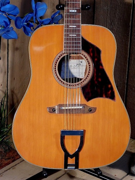 Eko rio bravo 12 string guitar outlet