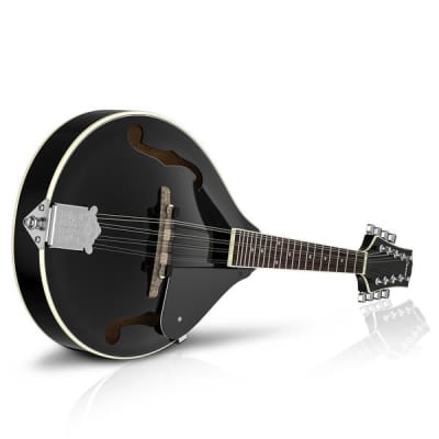 A Style Mandolin with Gig-Bag and Accessories Full Bundle image 7