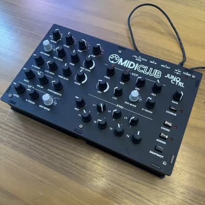 juno ギター Juno レスポールタイプ | ギターいじりは楽しい！