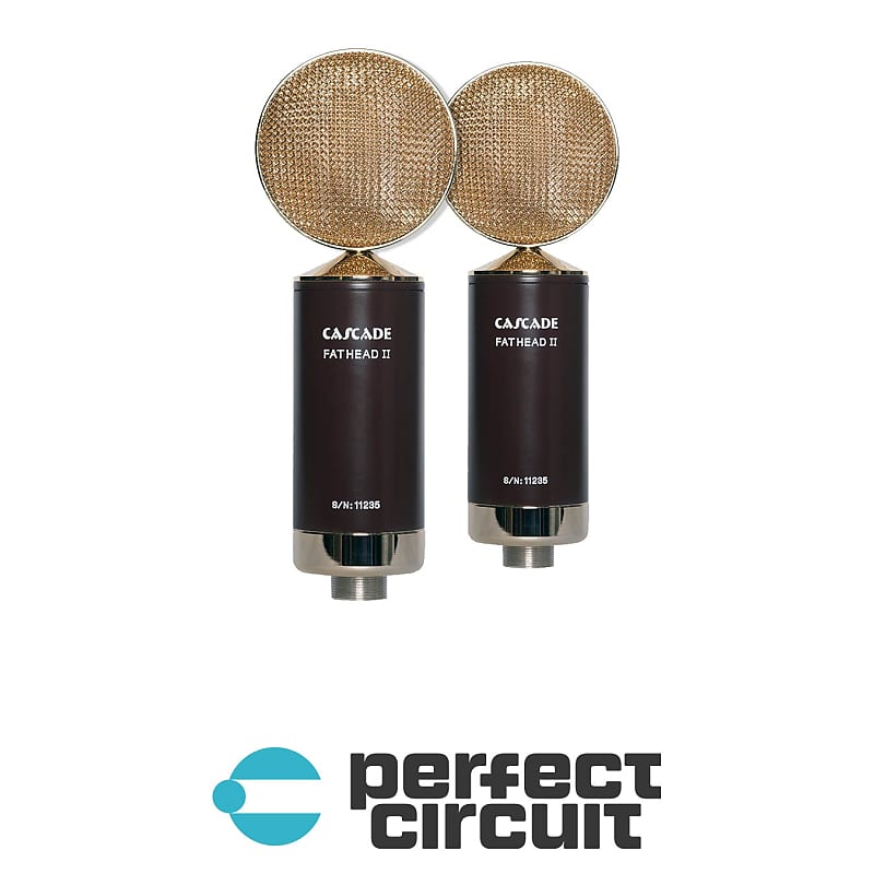 Cascade Microphones Fat Head II Stereo Pair Ribbon Reverb