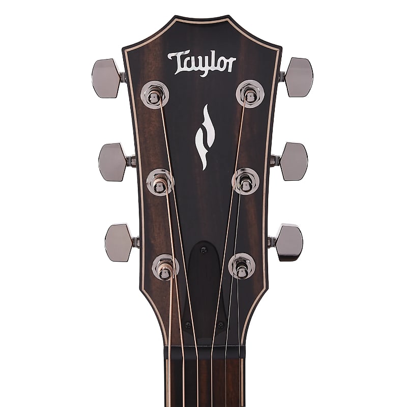 Immagine Taylor 814ce with V-Class Bracing - 6