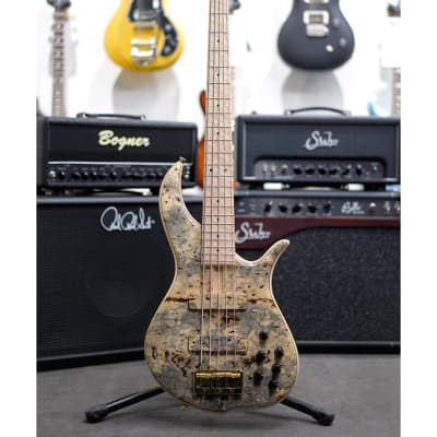 F-bass BN5 NTY バックアイバール F-bass BN5 NTY バックアイバール Bass Review: F Bass BN5