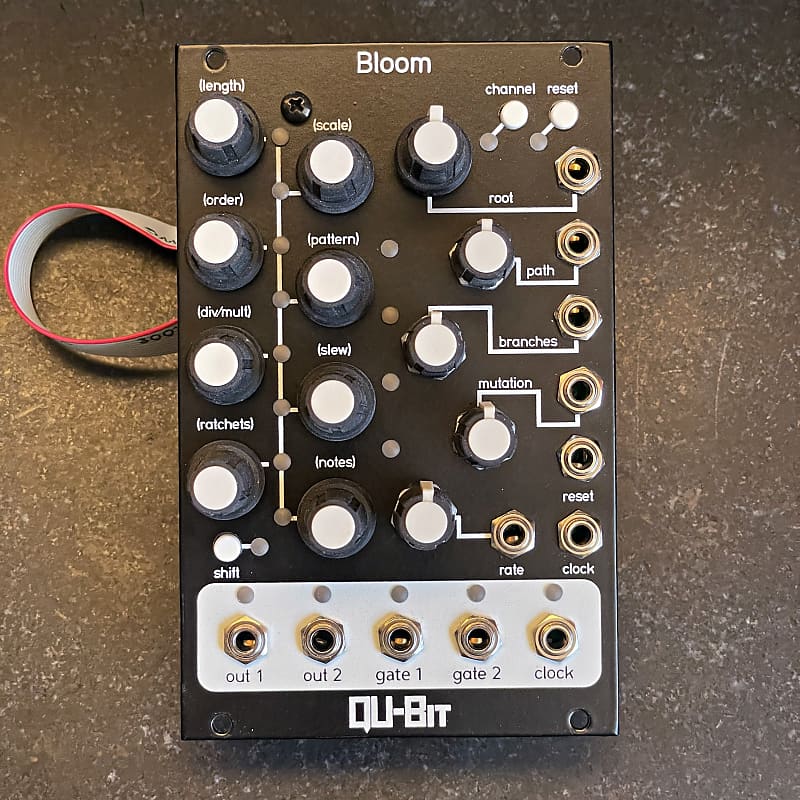 Qu-Bit Electronix Bloom - Black | Reverb