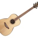 Takamine Parlor-Style Acoustic Guitar - Natural/Rosewood - GY93ENAT