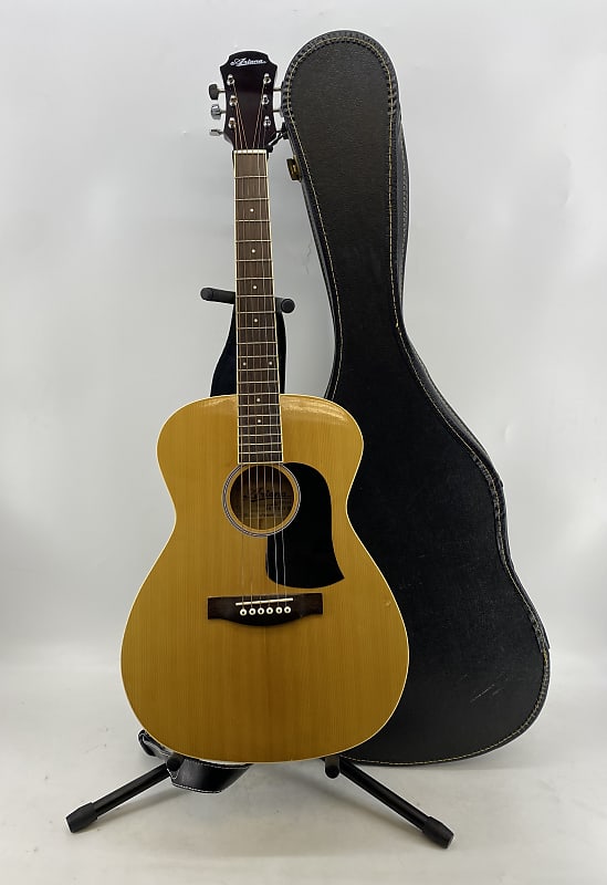 Ariana acoustic outlet guitar price