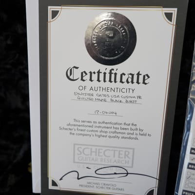 Schecter USA Custom Shop Synyster Gates Signature-FR Trans Black Burst w/ Tolex Case image 7