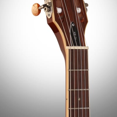 ESP LTD TL-6N Thinline-6 Nylon Classical Acoustic-Electric Guitar, Natural image 7