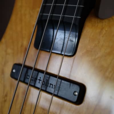 Zon Sonus 4 string fretless 