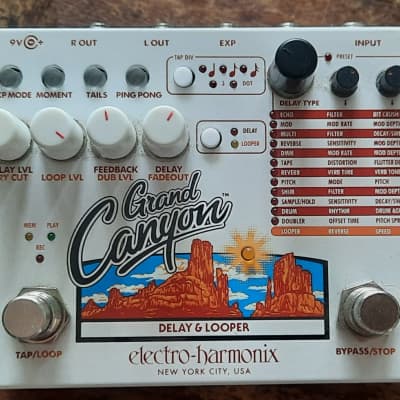 Electro-Harmonix Grand Canyon Delay and Looper | Reverb