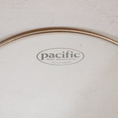 PDP Pacific 14" Mesh Drum Head image 2