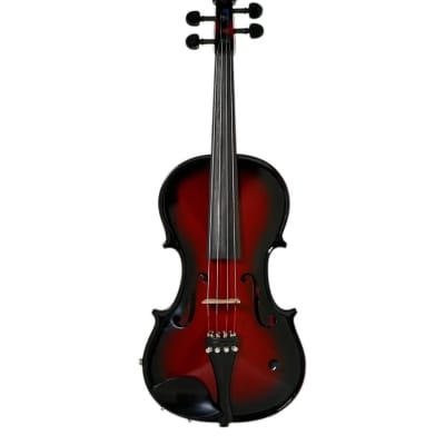 Barcus Berry, 4-String Violin (BAR-AEVR) image 1
