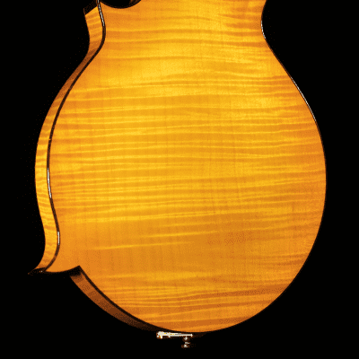 Collings 2016 Collings MF5 Varnish, Italian Spruce, One-Piece Maple Back, Tangerine Burst image 10