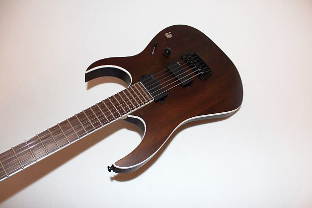 Ibanez Iron Label RG Series RGIR20BFE Fixed Bridge Electric