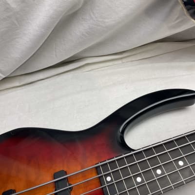 Carvin USA Bunny Brunel Signature Model Fretless 5-string Bass image 4