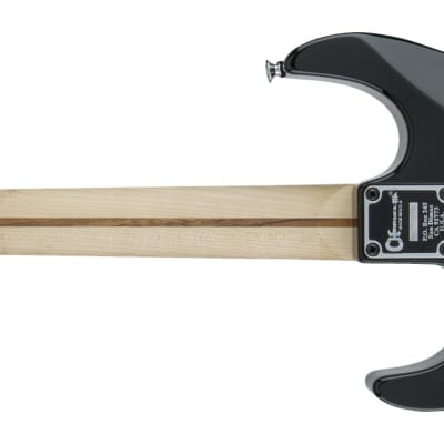CHARVEL - Warren DeMartini USA Signature Frenchie  Maple Fingerboard  Gloss Black with Frenchie Graphic - 2865005803 image 2