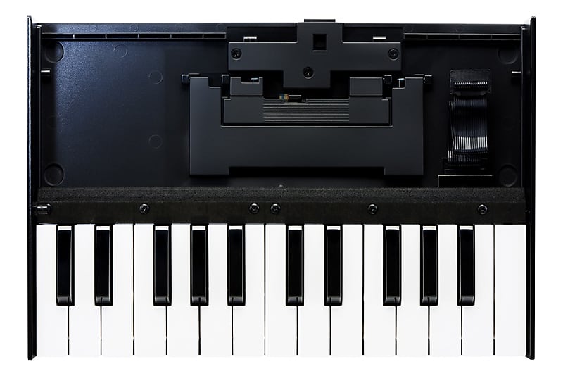 Roland Boutique K-25m Keyboard Unit image 1