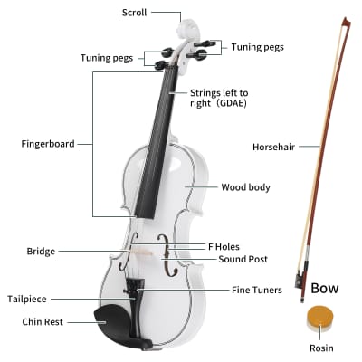 Full Size 4/4 Violin Set for Adults, Beginners, Students with Hard Case, Violin Bow, Shoulder Rest, Rosin, Extra Strings 2020s - White image 8