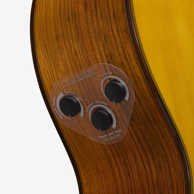 Yamaha CG-TA TransAcoustic Classical image 7