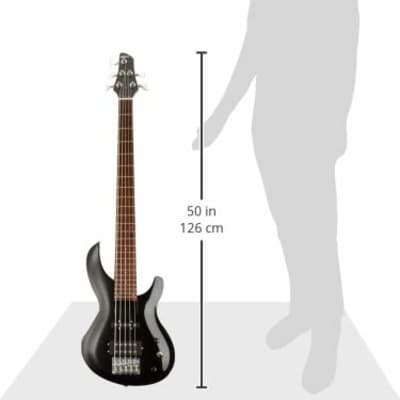 Aria IGB-STD/5-MBK IGB Standard Series Carved Top Maple Bolt-on Neck 5-String Electric Bass Guitar image 4