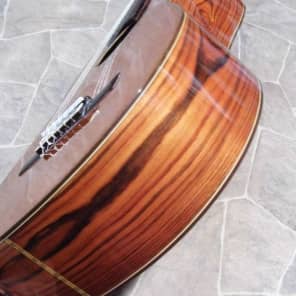 Takeharu Guitar G-180 (1972) Vintage Guitar Made in Japan In