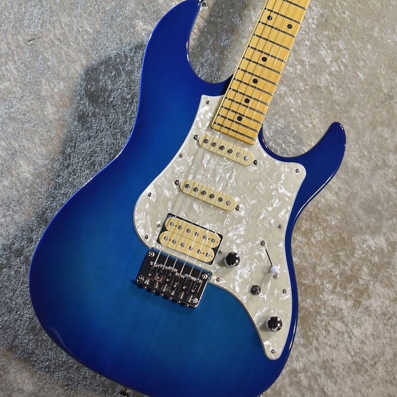 Fujigen/FGN BOS2-M-TBS 2022 Transparent Blue Sunburst 3.51kg